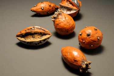 Shalya Marsh, Rattles, Ceramic, 2012